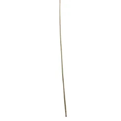 Bambusstab 120 cm*Wingart Discount