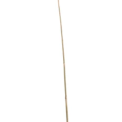 Bambusstab 150 cm*Wingart Outlet
